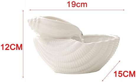 CLoxks Tabletop Fountain with Shell Design